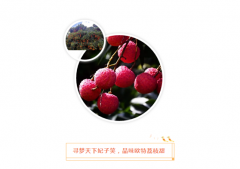 做欧必特的客户，我们宠你